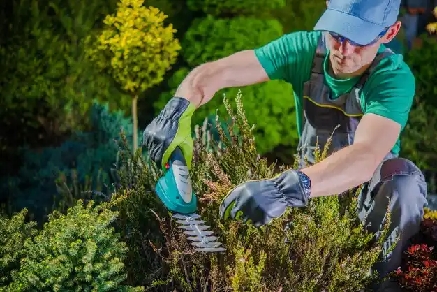 landscaping services White Oak
